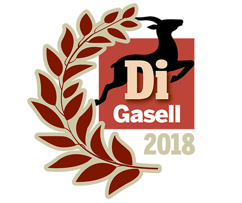 DI gasellvinnare 2018