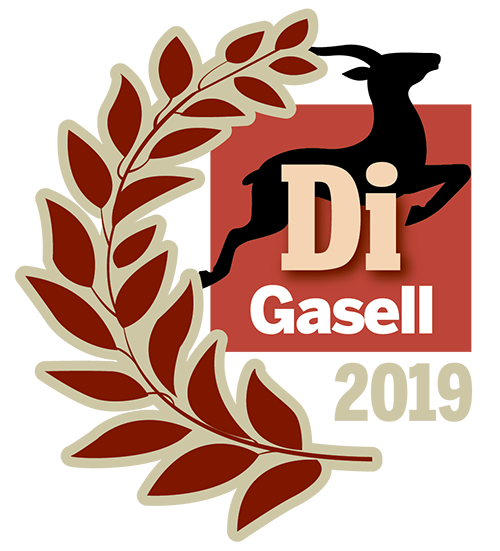 DI gasellvinnare 2019